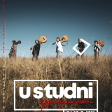 Koncert zespołu "W studni"